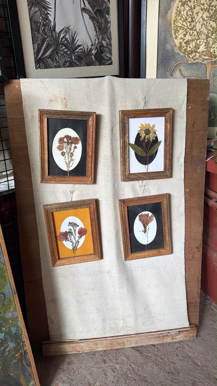 Display of small wood-toned frames with pressed botanicals
